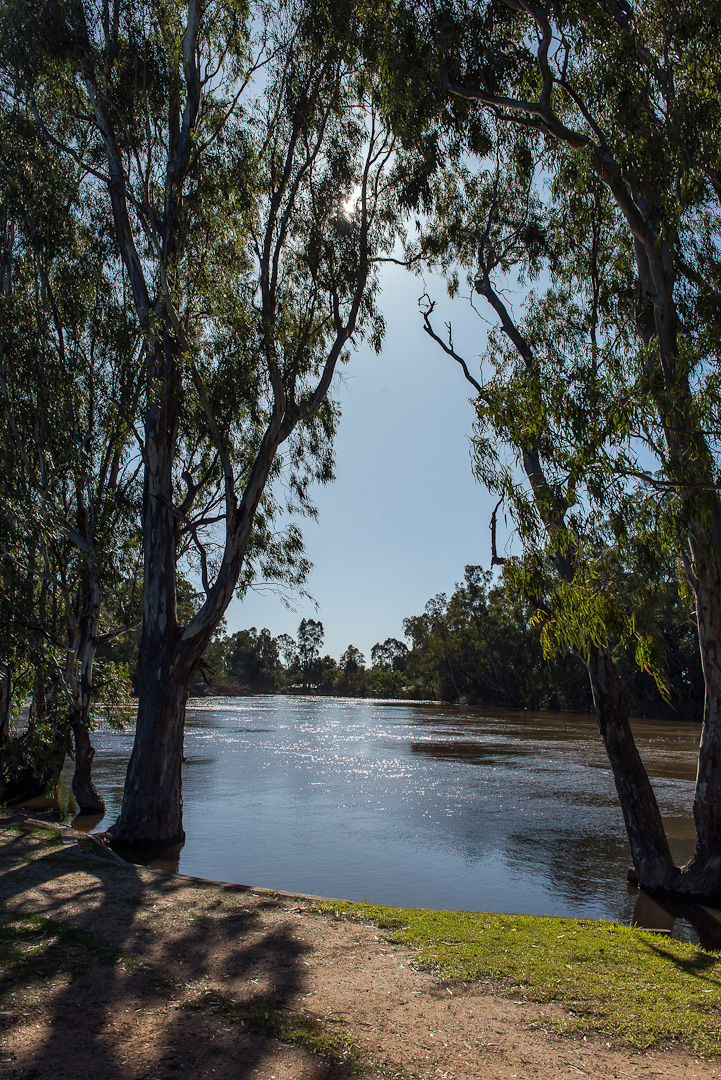 Murray River Koondrook