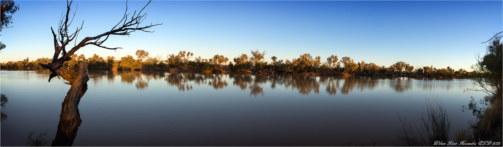 Wilson river Panoramic