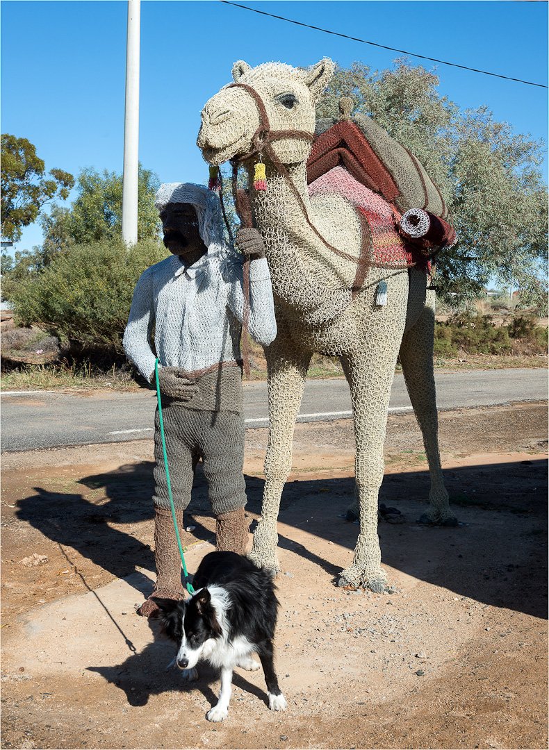 Koda and friend at Tiibooburra, Outback NSW.
